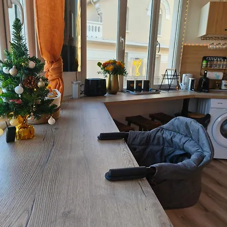 Le Cosy Perpignan Centre, Fully Air Conditioned Apartment , 2 Rooms, 2 Bathrooms, Free Wifi, Free Parking, Lift, Central 아파트 페르피냥